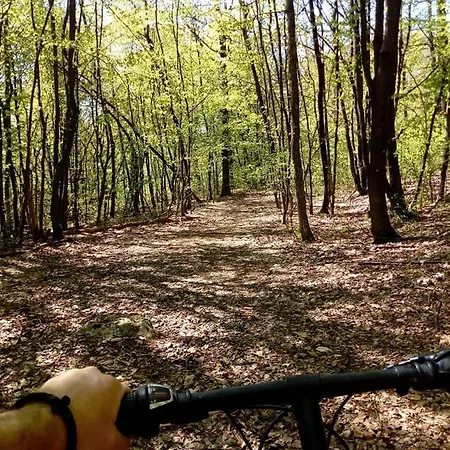 Apartment Brezuljak Banja Luka Cokorska Polja *